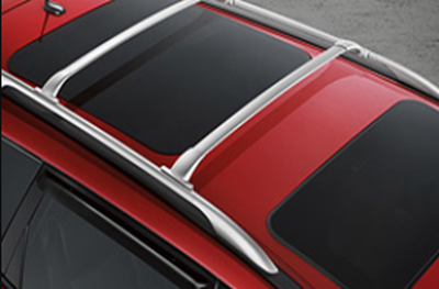 Nissan Crossbars: Bright Silver (2-piece set) 999R1-XZ500