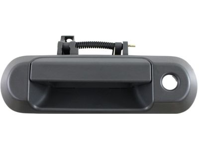 Nissan 90606-ZS20A Back Door Handle Assembly