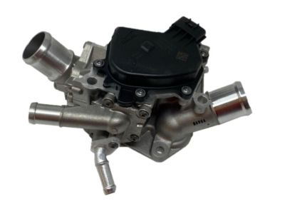 Nissan 21250-EZ31A Valve Assembly Water Control