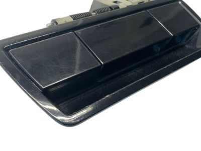 Nissan 90606-7S070 Tailgate Handle