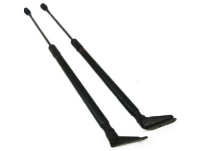 Nissan Murano Lift Support - 90451-1AA0A