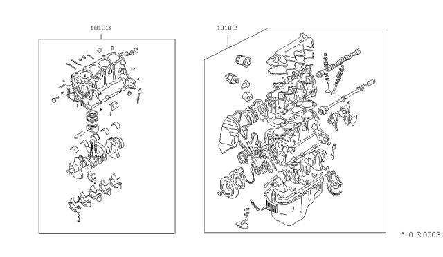 1982 Nissan Sentra Bare & Short Engine Diagram 2