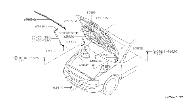 1998 Nissan Maxima Hood Panel,Hinge & Fitting Diagram