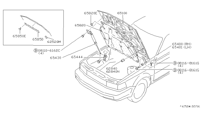 1988 Nissan Maxima Hood Panel,Hinge & Fitting Diagram