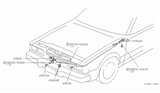 Diagram for 1982 Nissan 200SX Hood Cable - 65620-N8500