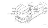 Diagram for Nissan Maxima Hood Hinge - 65401-7Y000