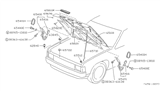 Diagram for Nissan Pathfinder Hood Hinge - 65401-01G10
