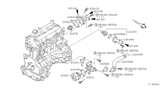 Diagram for Nissan Sentra Thermostat Housing - 13049-4Z000