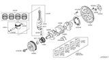 Diagram for 2010 Nissan Rogue Crankshaft Gear - 13021-6N20A