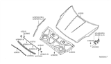 Diagram for 2009 Nissan Altima Hood - 65100-ZX00A