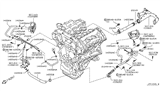 Diagram for Nissan GT-R Cooling Hose - 14055-JF00A