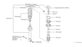 Diagram for 2000 Nissan Maxima Coil Spring Insulator - 55031-31U10
