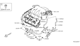 Diagram for Nissan Maxima Cooling Hose - 14056-JA11B