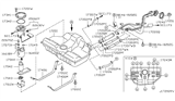 Diagram for 2001 Nissan Maxima Fuel Filler Neck - 17221-2Y901