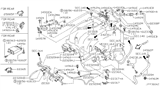 Diagram for 2001 Nissan Maxima Fuel Line Clamps - 16439-2Y905