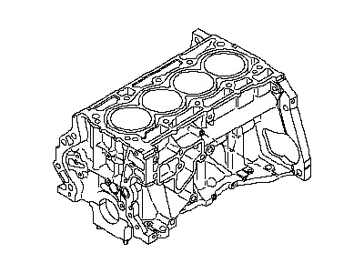 Nissan 11000-ZJ71B Block Assy-Cylinder