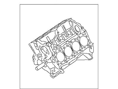 Nissan 10103-ZV00A Engine-Short