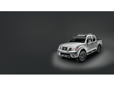 Nissan Step Rails - Tube (2-piece set/Grey) 999T6-BR006
