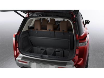 Nissan T99C2-6TA0E Divider - Underfloor Storage - Black (Set Of 2)