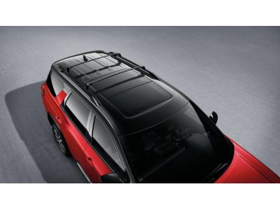 Nissan Roof Rail Crossbars- Black (2-piece set) T99R1-6TA1D