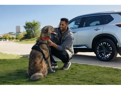 T99H2-6TA0D Nissan Dog Harness (X-Large) Product Photo 1 of 1