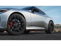 Nissan Assist Grip - T98W3-6GP0A
