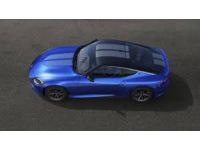 Nissan Z Dual Head Restraint DVD - T99D1-6GP0B