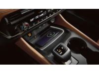 Nissan Rogue Body Side Moldings - T99F7-6RR0C