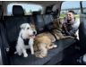 Nissan Frontier Seat Cover