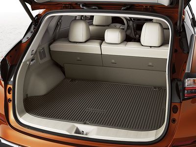 Nissan Cargo Area Protector: Chocolate 999E4-C3001