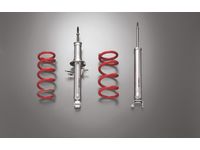 Nissan NISMO Suspension Struts And Springs Kit
