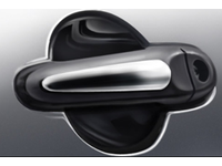 Nissan Door Handle Accents - 999M1-7X204