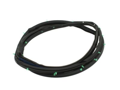 2002 Nissan Pathfinder Weather Strip - 80830-3W400