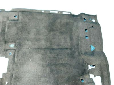 Nissan 74902-EZ50B Carpet Assy-Floor