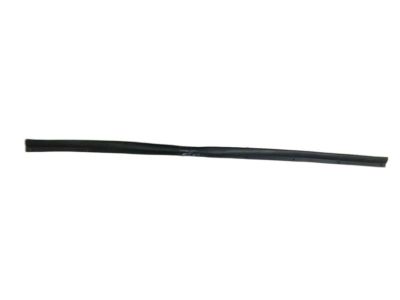 2021 Nissan Leaf Weather Strip - 80838-3NF0A