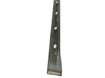 Nissan 82870-CC20A Moulding-Rear Door,RH