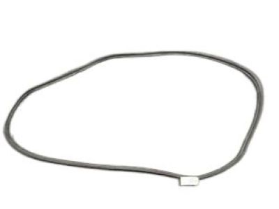 Nissan Rogue Sport Weather Strip - 90830-6MA0A