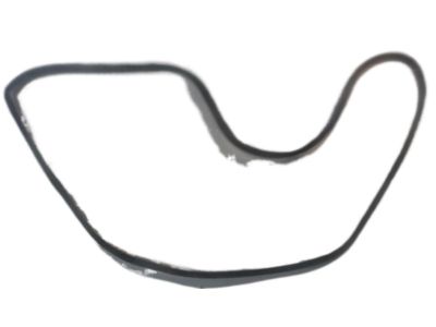 Nissan 90832-7S00A Weatherstrip-Back Door Opening