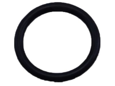 Nissan Thermostat Gasket - 21049-AE010