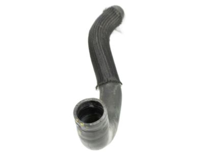 Nissan 21503-JF00A Hose-Radiator,Lower