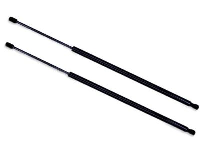 Nissan Armada Tailgate Lift Support - 90450-1LB1A