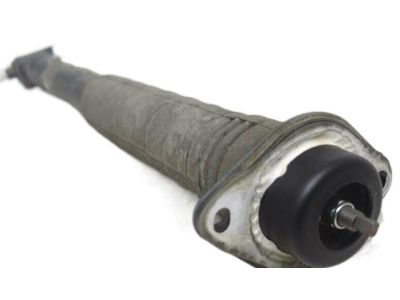 Nissan E6210-1EA1E ABSORBER Kit - Shock, Rear