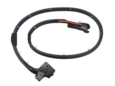 Nissan 80831-CE400 Weatherstrip-Front Door,LH