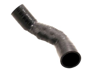 21501-40P60 Genuine Nissan 2150140P60 Hose-Radiator Upper