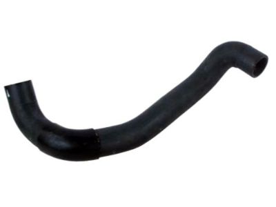 2002 Nissan Maxima Radiator Hose - 21503-2Y000