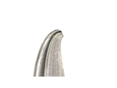 Nissan 90830-5RB0A Weatherstrip-Back Door