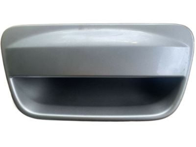 Nissan 90606-EL00A Tailgate Handle