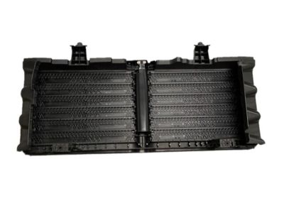 Nissan 21421-EZ00A Shutter Assy-Radiator