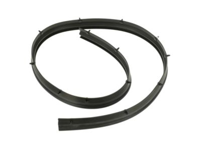 Nissan Frontier Weather Strip - 65820-EA500