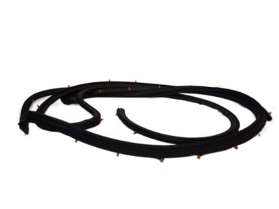 2019 Nissan NV Weather Strip - 80831-1PA0B